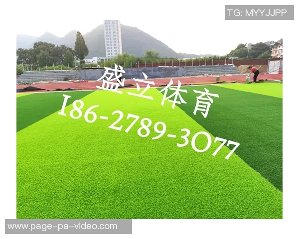 探索300米足球场的设计理念与运动价值提升之道