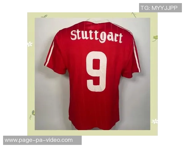 高仿球衣足球的魅力与选择指南让你轻松找到心仪的球迷装备